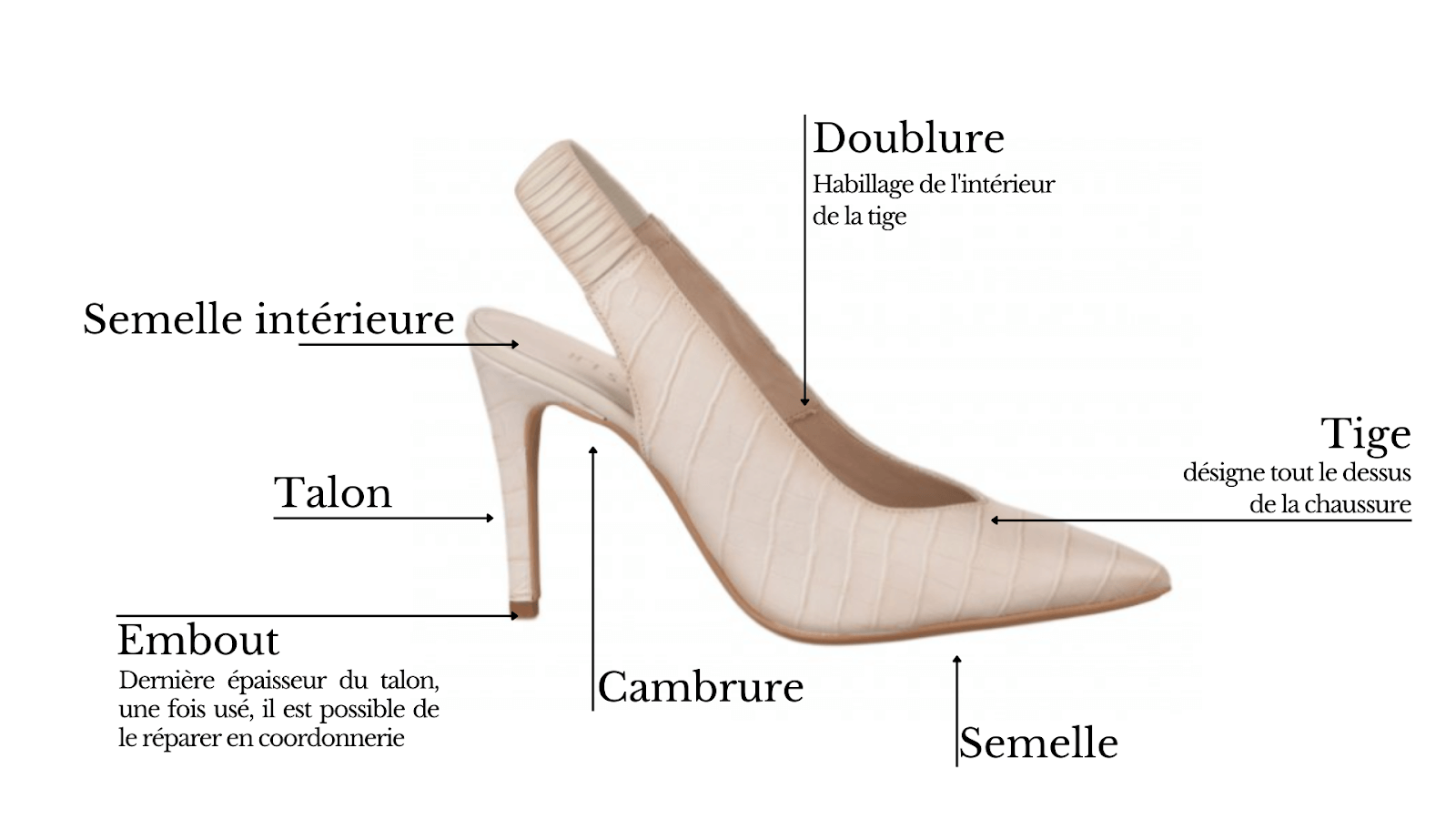 Les composants de la chaussure